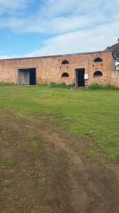 The Shearing shed.